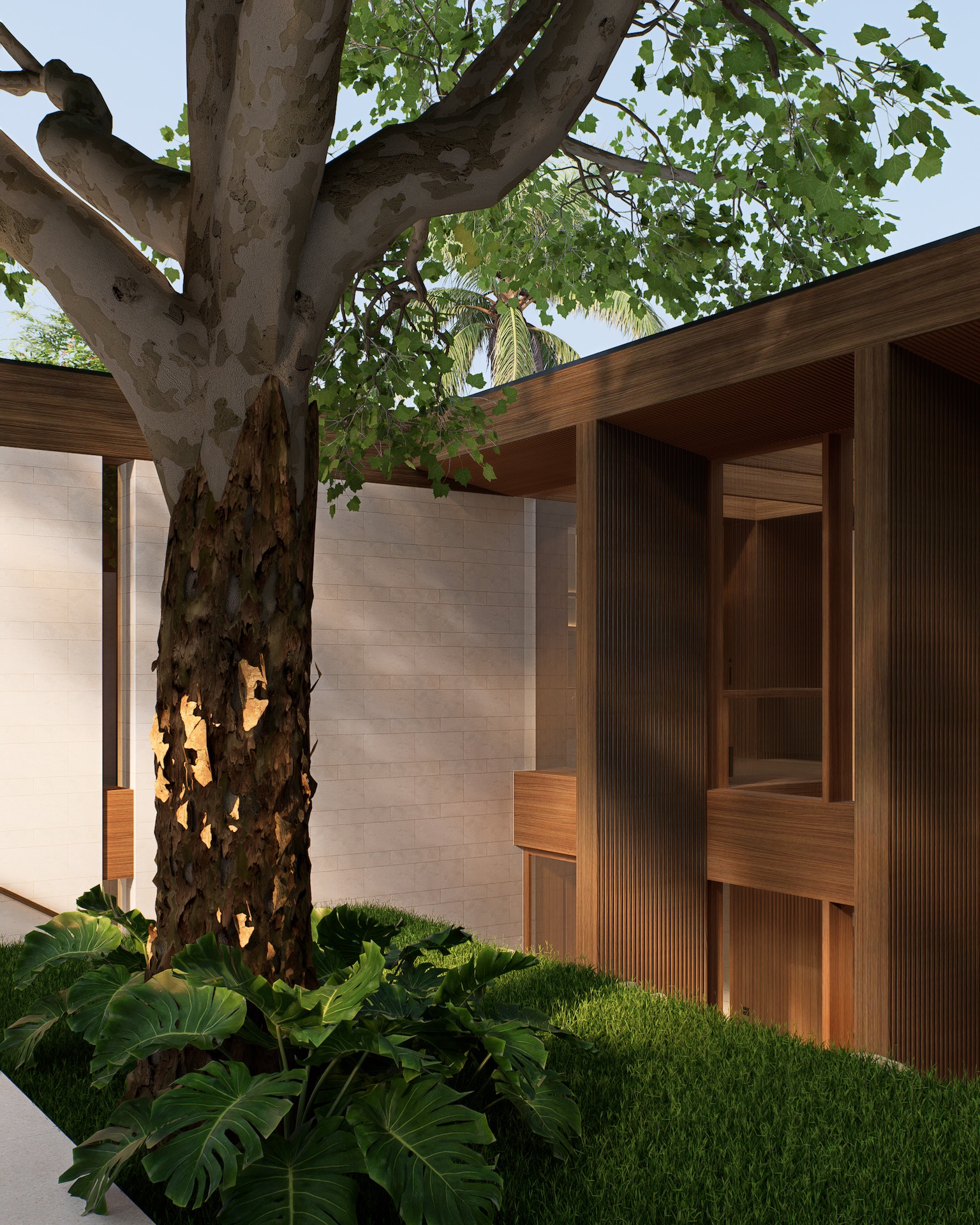 Angled view towards the entrance of tatma residence with big tree in the middle of a courtyard