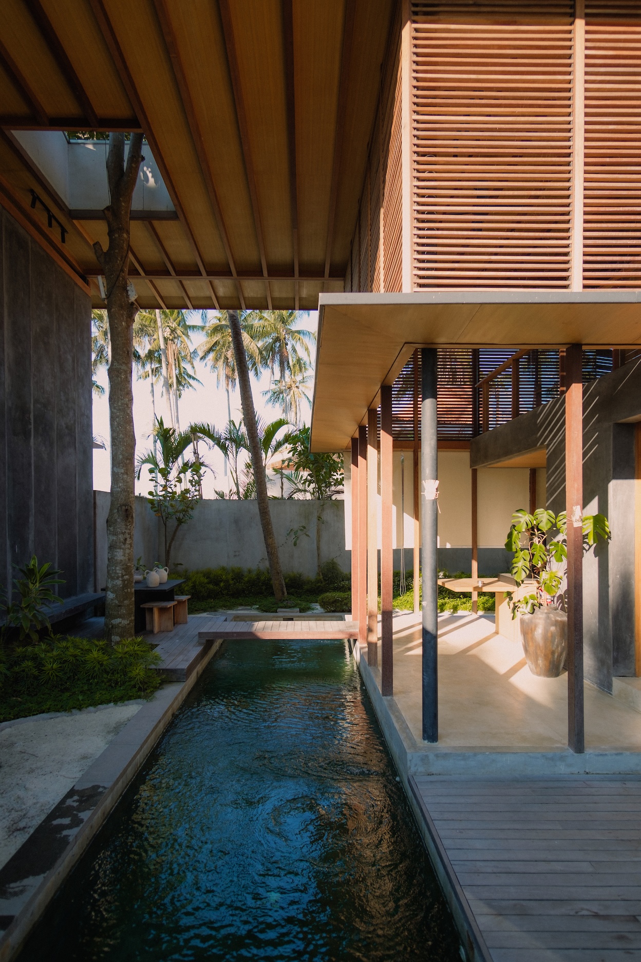 Potrait view of 2nd villa at rumah amadangi showing swimming pool, partial kitchen island and mango tree penetrating the roof