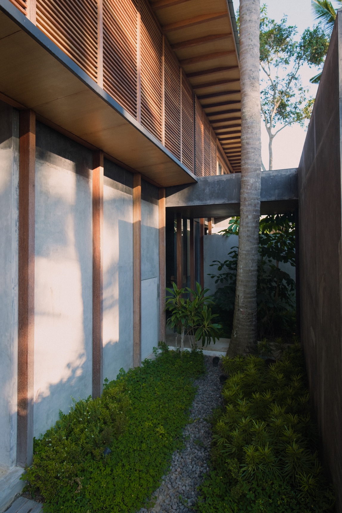 Small garden space view at rumah amadangi showing continuous roof structure and coconut tree barely touching the roof