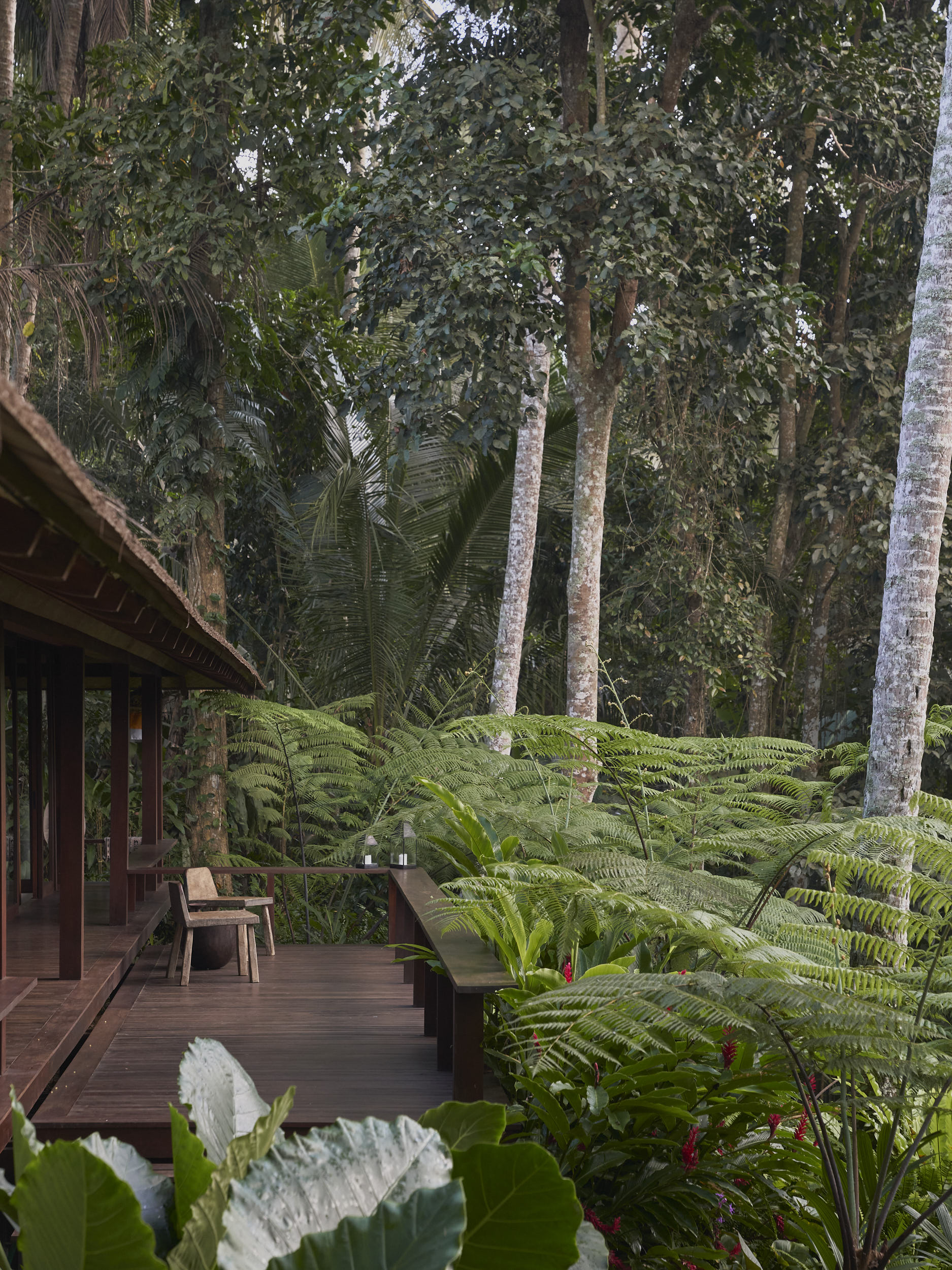 Outdoor terrace and the connection with the natural tropical environment