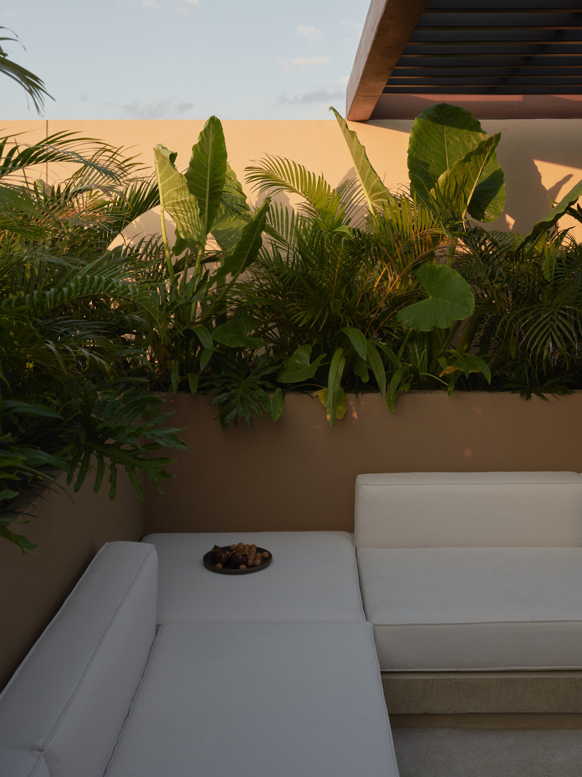 Corner of roof top living room showing sofa and planter box filled with tropical plants covered by a wooden pergola