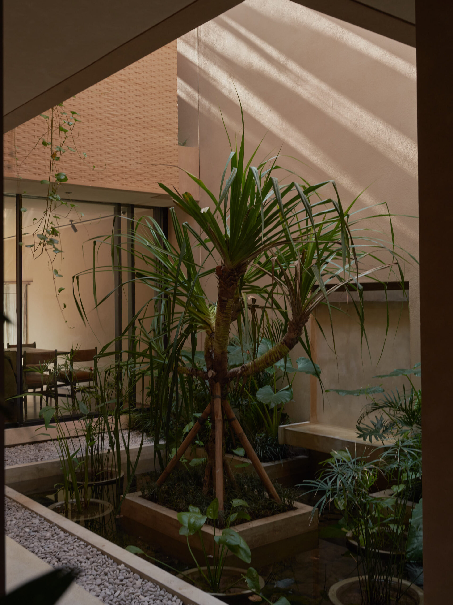 View of inner courtyard looking towards the dining room