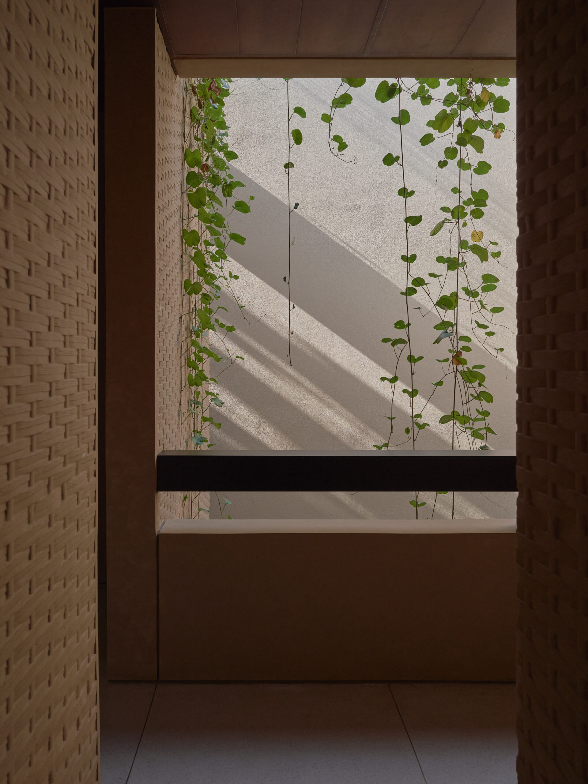 Arrival to upstair corridor from the staircase looking into the void of the inner courtyard with climbing plants growing down from the facade