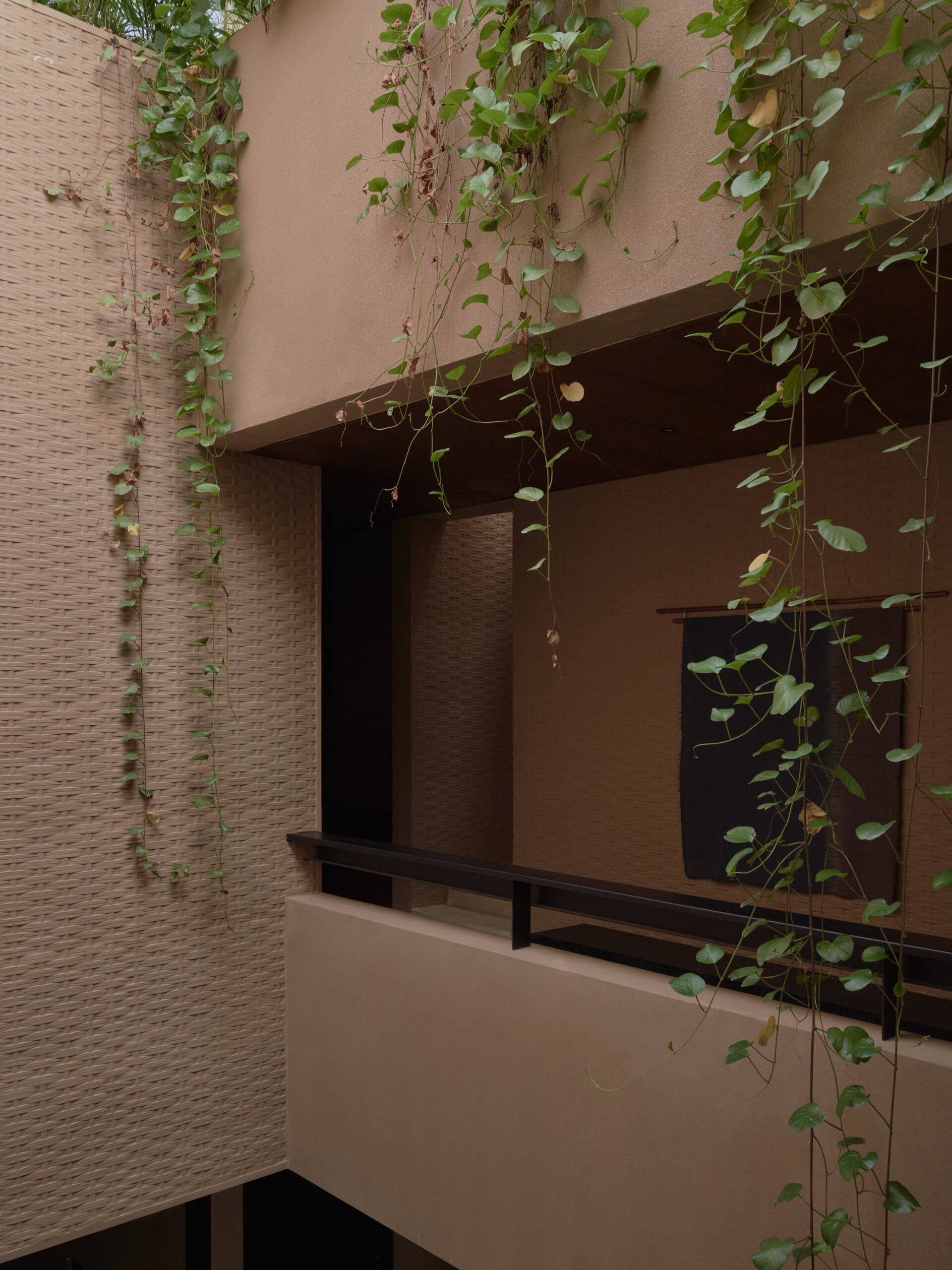Exterior view of the 2nd floor corridor showing the climbing plants from the roof top and the bamboo pressed concrete wall
