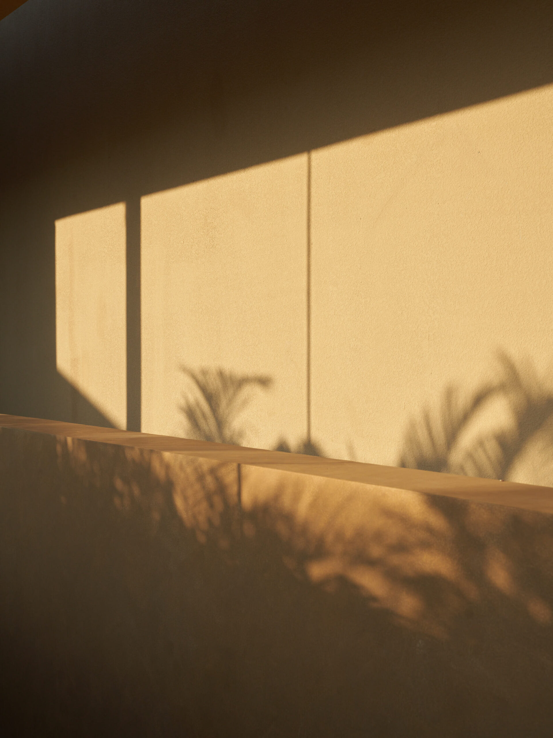 Detail view of the wall colour, shadows of plants, and geometry of the building