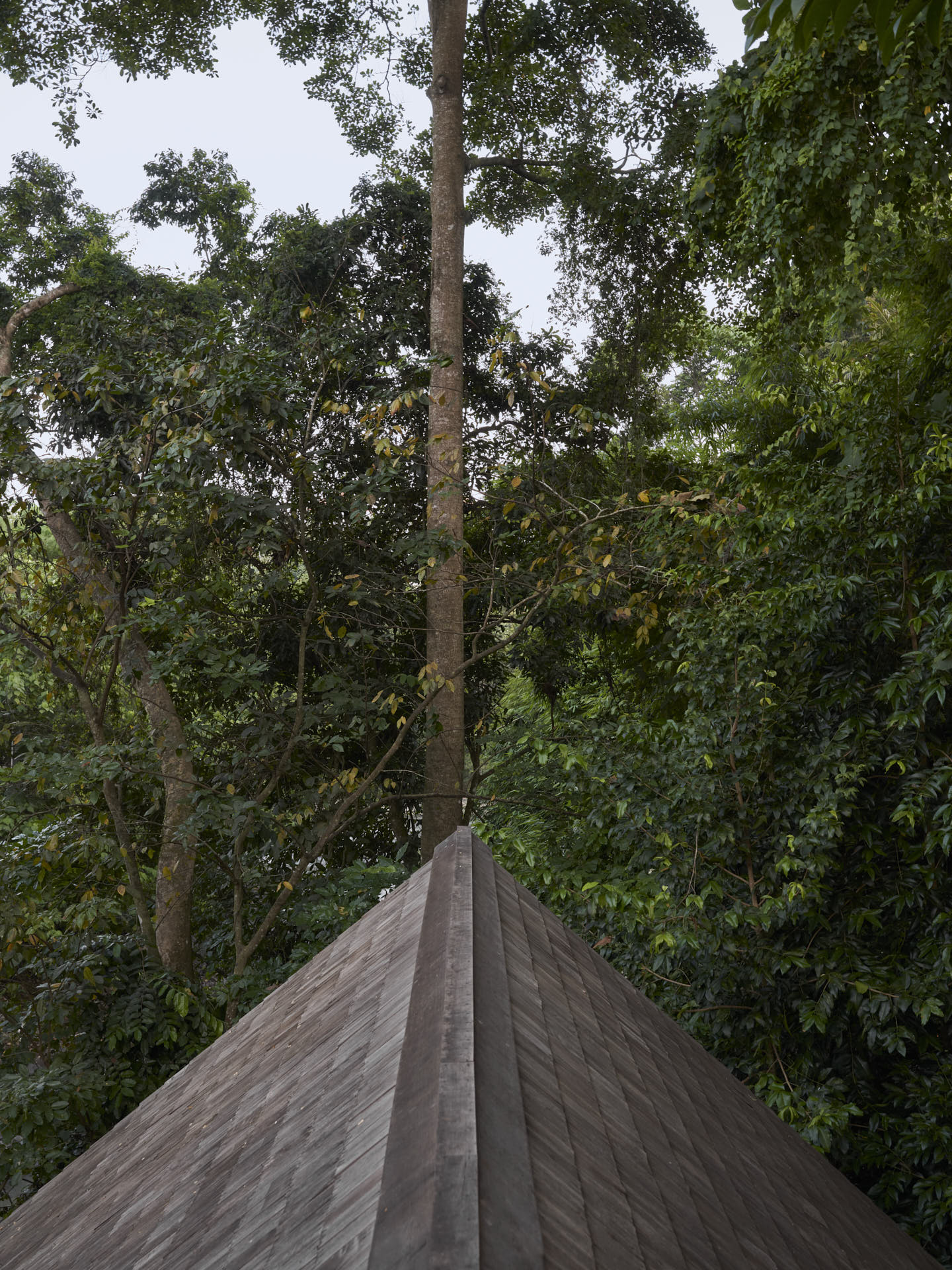 Detailed view of roof